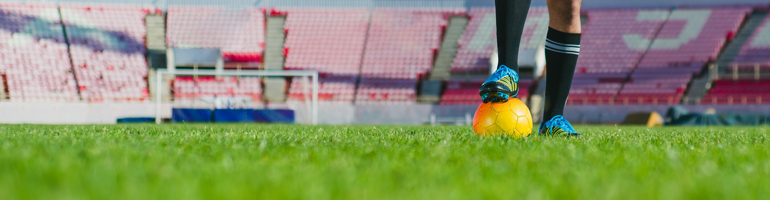 العالم أكثر خضرة مع عشب أفنجراس